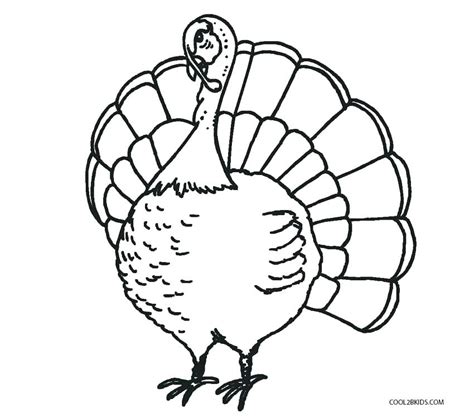 Simple Turkey Coloring Page at GetDrawings | Free download