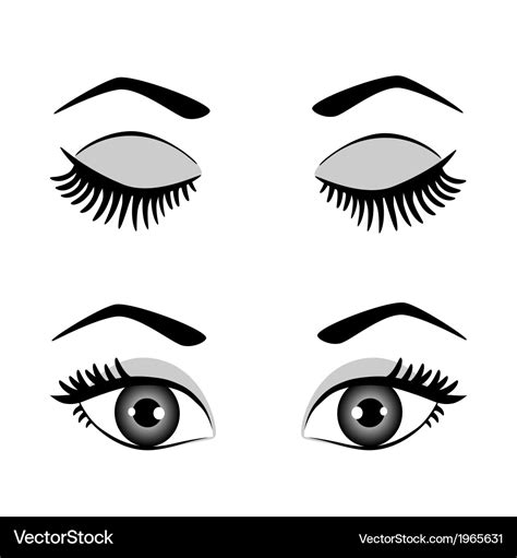 Silhouette Eyes And Eyebrow Open And Closed Vector Image