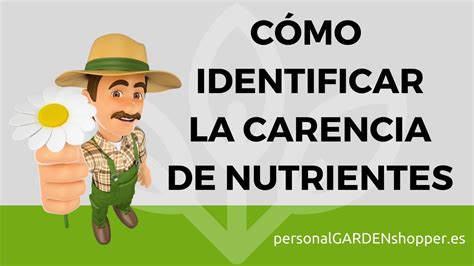 Ropa Concurso Infrarrojo Deficiencias Nutricionales De Las Plantas