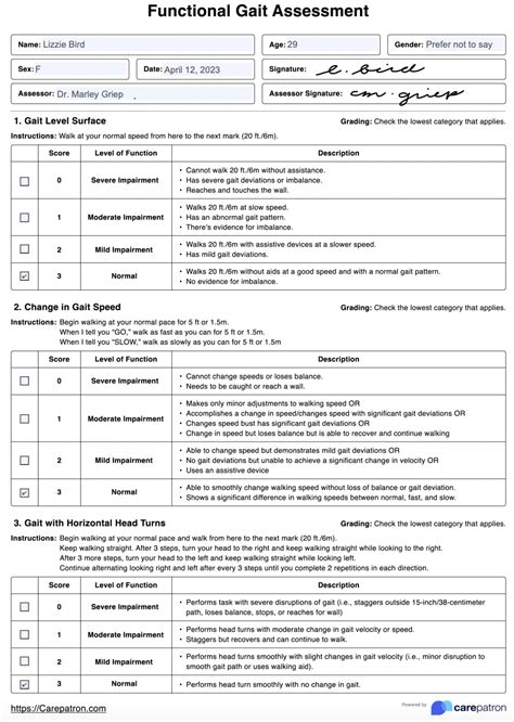 Functional Gait Assessment (FGA) & Example | Free PDF Download