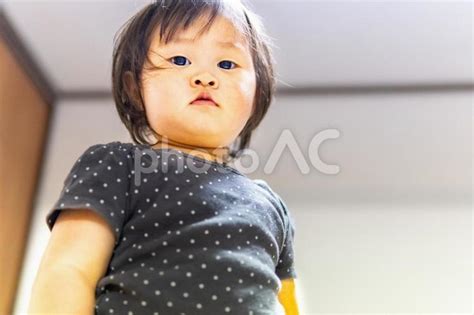 こちらをじーっと見つめる子供 フリー素材無料素材写真イメージ No 3539094｜写真素材なら「写真ac」無料（フリー）ダウンロードok