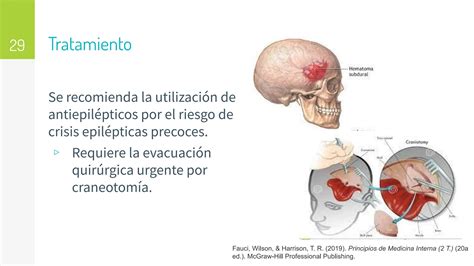 Traumatismo Craneoencef Lico Trauma Raquimedular Pdf Descarga Gratuita