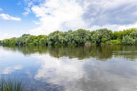 Premium Photo | View of calm water of moskva river in summer