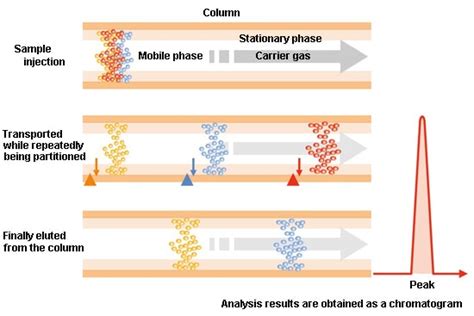 Gas Chromatography Gc Shimadzu Scientific Instruments