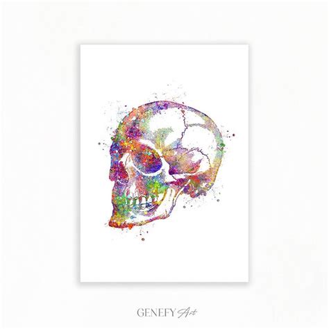 Skull Watercolor Art Print Skull Poster Skull Anatomy Art - Etsy