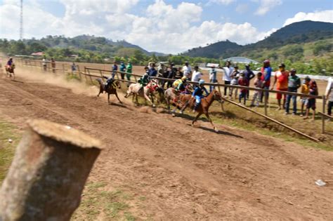 Pacuan Kuda Bima Pacoa Jara Magnet Pariwisata Dunia