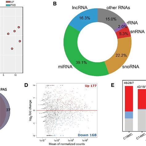 Small Rna Seq Analysis Reveals A Distinct Expression Pattern Of Mirnas