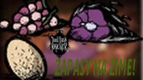 Robimy zapasy na zimę w Don t Starve Together gemeplay