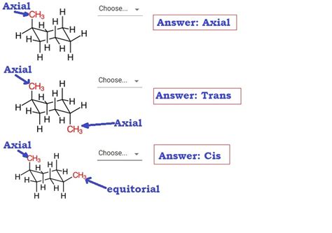 Solved Confused Consider The Structures Of Substituted Cyclohexane