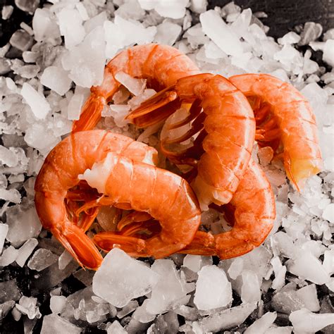 Langostino austral | Wofco Ltd