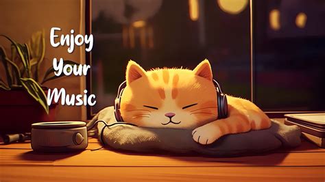 Hours Lofi Cat Enjoy Your Music Relaxing Lofi Beats To Chill