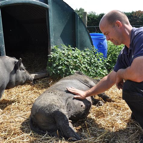 School Group Visits Monk Park Farm