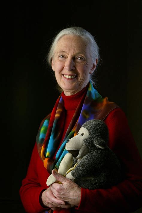 Beloved Scientist Jane Goodall Dies at 91 — World Icon Spent Her Life