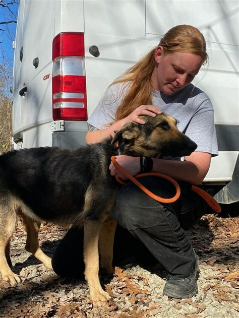 Humane Society Of Missouris Animal Cruelty Task Force Rescues Nine