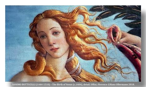 O Nascimento De Vênus De Sandro Botticelli LIBRAIN