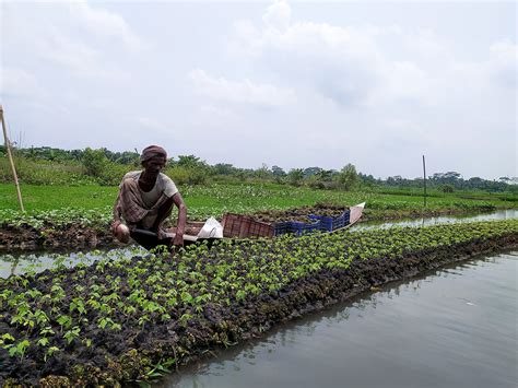 Floating farms and food security