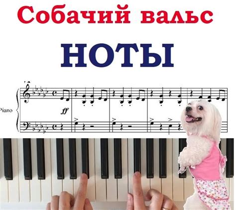 НОТЫ Собачий вальс - Katty BUM | Boosty