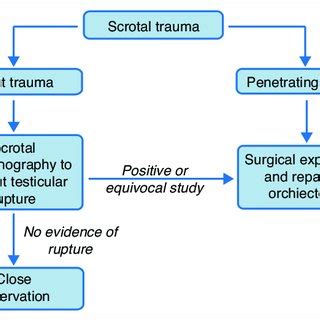 Simplified Diagnostic And Management Pathway In Blunt And Penetrating