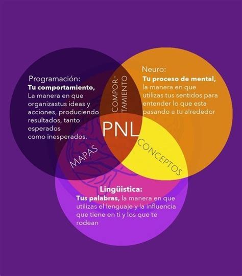 La Programación Neurolingüística Pnl Constituye Un Modelo Formal Y Dinámico Sobre Cómo Funciona