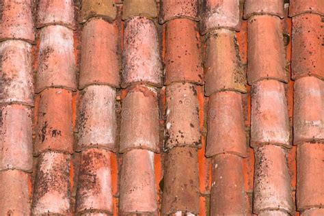 Taktegelplattor Av Ett Italienskt Hus I Bolognaen Fotografering för