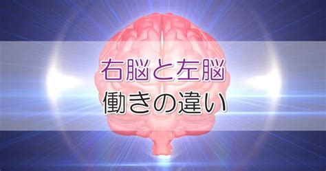 「右脳」と「左脳」の働きの違いと、それぞれの鍛え方 ｜札幌市 学習塾 受験｜チーム個別指導塾･大成会