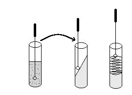 Pr Cticas De Microbiolog A Pr Ctica T Cnicas De Siembra