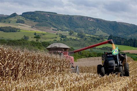 Conab Prev Novo Recorde Na Produ O De Gr Os Em Milh Es De