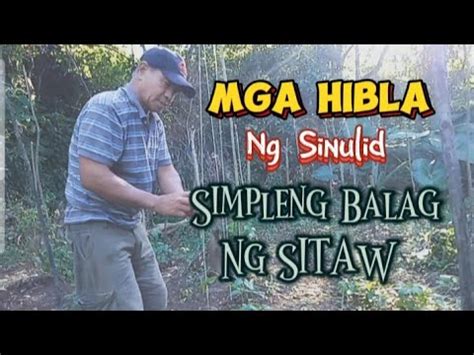 MGA HIBLA Ng SINULID Simpleng Balag Ng SITAW YouTube