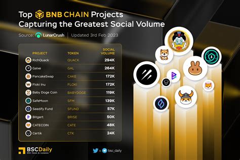 Bscdaily On Twitter Top Bnbchain Projects Capturing The Greatest