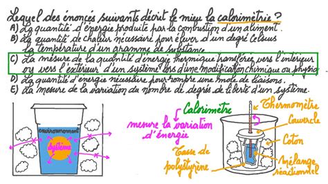 Vidéo question Identifier lénoncé qui décrit le mieux la