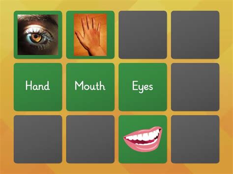 Memory Game Body Parts Matching Pairs