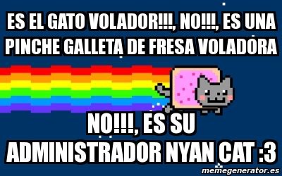 Meme Personalizado Es El Gato Volador No Es Una Pinche