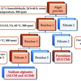 Extraction And Purification Of Sodium Alginates Alcm And Alsm And