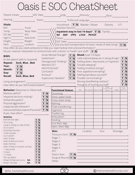 Oasis E Therapy Cheat Sheet Start Of Care Template Soc Physical Therapy