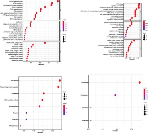 Kegg Pathway And Go Enrichment Analysis Of Aberrantly Expressed Rbps