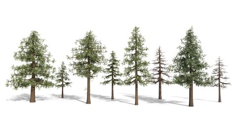 Pine Trees Forest Set D Model Turbosquid