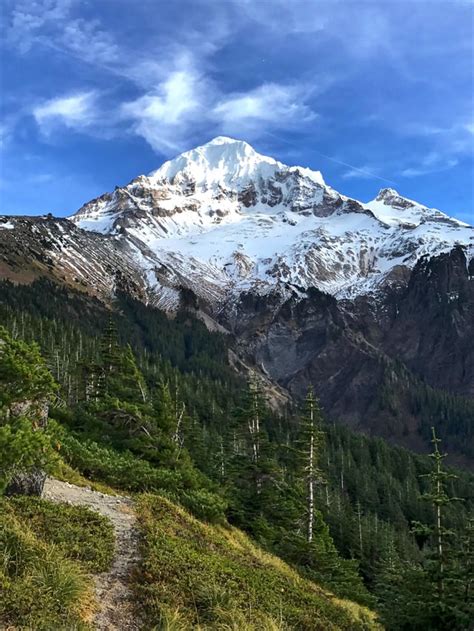 Timberline Trail Mt. Hood National Forest 11/4/16 [OC] [3024x4032] : r ...