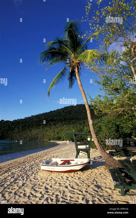 Caribbean, US Virgin Islands, St. Thomas, Magens Bay. Magens Bay beach at sunset Stock Photo - Alamy