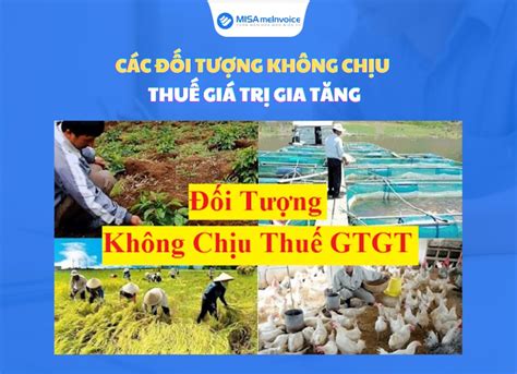 Các đối Tượng Không Chịu Thuế Giá Trị Gia Tăng Gtgt Hóa Đơn Điện Tử