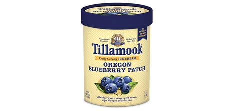 Oregon Blueberry Ice Cream Tillamook Ice Cream Blueberry Ice Cream