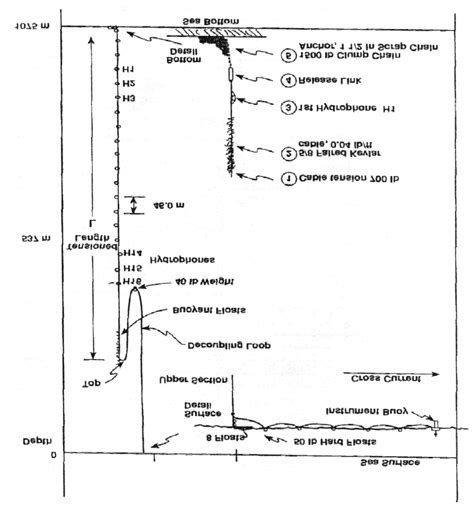 Scheme Of A Vertical Cable From Krail 1994a Download Scientific