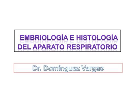 Desarrollo Del Aparato Respiratorio PPT