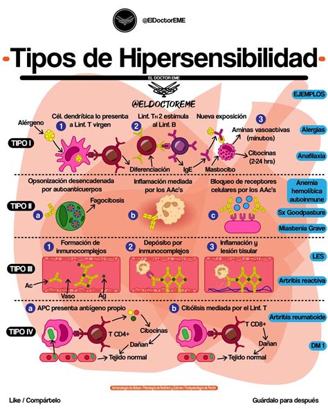 Mauricio Montelongo On Twitter Tipos De Hipersensibilidad Mecanismos