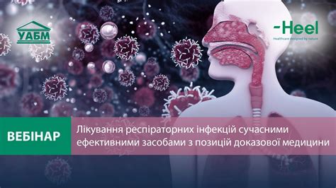 Лікування респіраторних інфекцій сучасними ефективними засобами з ...