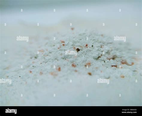 A picture of washing powder Stock Photo - Alamy