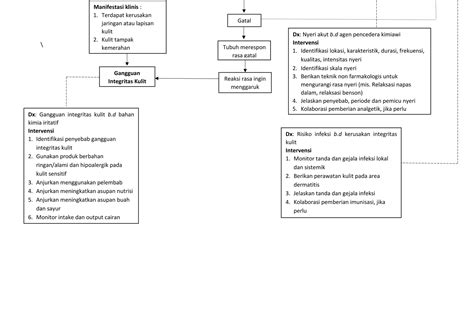 Woc Dermatitispdf