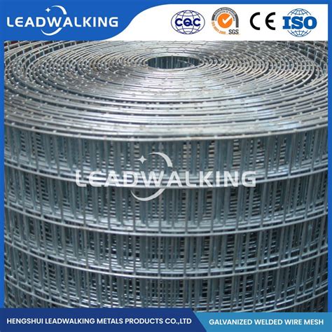 Leadwalking Welded Wire Netting Roll Manufacturing Custom Welded Wire