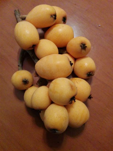 What in the Middle Kingdom? 枇杷 Pipa (loquats) – small town laowai