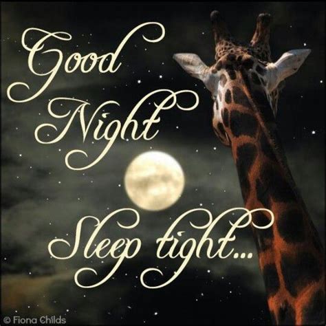 Goodnight Sleep Tight