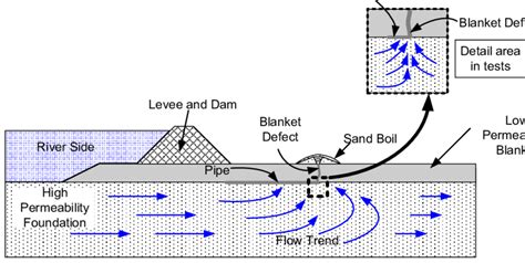 Schematic illustration of the BEP and the mechanisms of BEP development ...